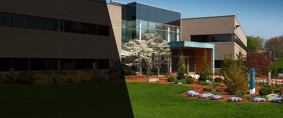 Temple City Landscapers