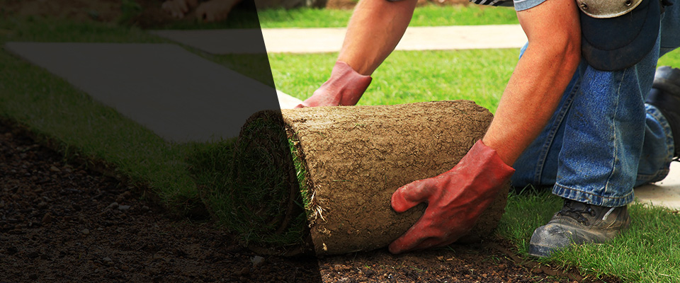 Temple City Landscapers